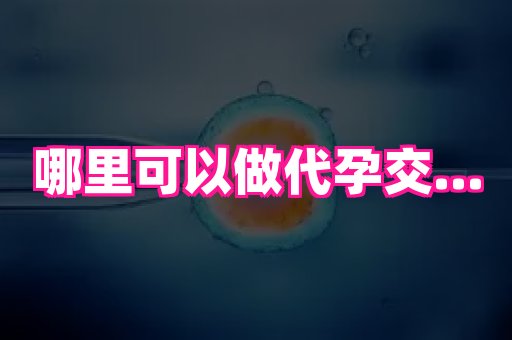 江苏助孕网 1