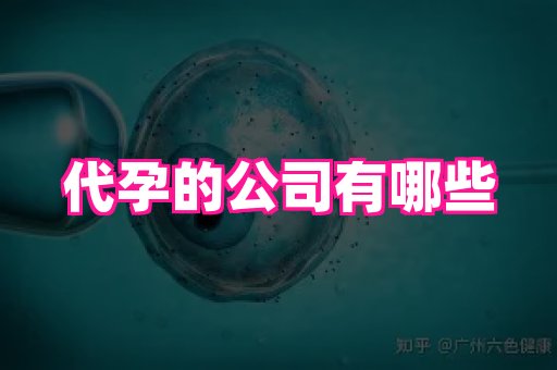 江苏助孕网 4